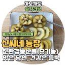 [전남/고흥] 신씨네농장 참다래(키위) 찐맛 인정, 건강한 무농약 농산물. 오늘도 kiwiiii 내돈내산...