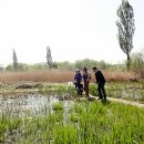 송화초등학교 이미지