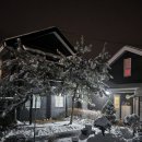 가평로제펜션 이미지