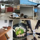 시고르스테이 이미지