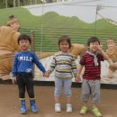 재승농장 이미지