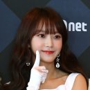 씨제이네이처
