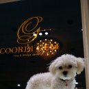 퍼블리코 이미지