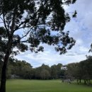 Travel Gym 이미지