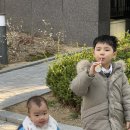새동네어린이집 이미지