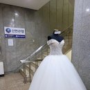 쥬비드 이미지