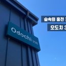오도치308 이미지