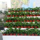 보성녹차골휴게소 이미지