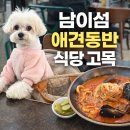 펫디저트(Pet Dessert) | [강원/춘천] 남이섬 안 식당 펫프렌들리 애견동반 식당 고목 솔직후기