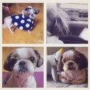 우리들편의점행운점 | 새우탕 봉지라면, 또간집, 레알마드리드 홈구장 소환, 편의점 먹방 등등 재미있는 11월 끝자락 해피올 일상