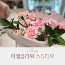 마젤 | [청주 우암동 꽃집] 마젤플라워 스튜디오 방문 후기