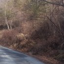 상이리 계곡 이미지