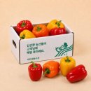 미리내농수산