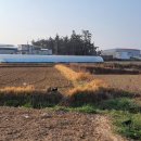 용전축사 이미지