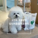 의왕동물병원 | 수원 의왕 24시 오전동 동물병원 강아지 건강검진 후기