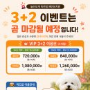 놀러오개 네이버블로그