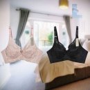 에스란제리 이미지