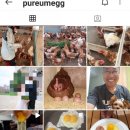 에스겔-푸름농장 이미지