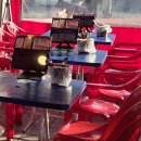 어리닭 | 대구 수성못 치킨 맛집 닭동가리 본점 솔직후기