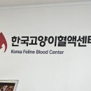 한국고양이혈액센터 이미지