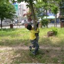 상경병설유치원 이미지