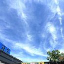 고향보리밥，칼국수