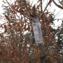 주산1리 경로당 이미지