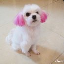 동네미용실 이미지