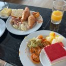 [스위스] 바젤공항 스카이뷰 라운지 후기(Skyview Lounge at the Basel EuroAirport)