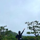 종간이 | 골프거리측정기 도미 T200 초경량 미니 거리측정기 정보 사용후기