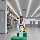 푸르미르 이미지