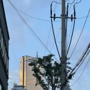 신안빌딩 화장실 | [노량진 수산시장] 노량진 수산시장 모둠회,꽃게,전어구이,새우대하, 끄트머리 초장집에서 먹고온 후기