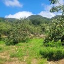 개곡리농장 이미지