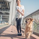 삼덕종합동물병원 이미지