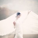 디자인스튜디오비비드