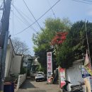금잔디 우렁이 쌈밥집 | 수원 시골집 우렁이 쌈밥 점심 메뉴 후기 제육쌈밥 가성비 식당