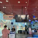 아쿠아리움 연간회원권 SEA LIFE 아쿠아리움 리얼후기! 부산 아이와 가볼만한 실내 명소 추천(꿀팁포함)