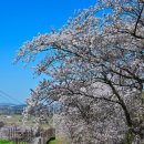 동영목장 이미지