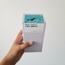 88프리다이브