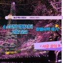 앰배서더 서울] 럭셔리 레이크룸 석촌호수 벚꽃뷰, 페메종 조식 뷔페 예약할인, 수영장, 피트니스...