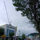 천동주공 롯데건설 현장 타워크레인 5 대 설치 공사가 빨리 진행 중 이미지