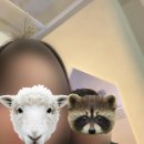홍대 놀거리 아이아이 연남 내돈내산 4년차 커플 비추천 후기