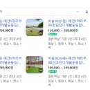 강릉댕댕이애견펜션블루 이미지