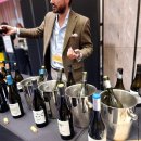 포시즌스호텔 서울 Taste Spain 주류박람회 스페인 와인 추천