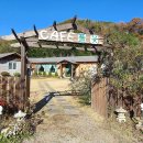 풀과꽃이야기 이미지