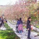 정선 농장 이미지