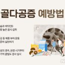 맹추위에 근육·관절 경직…60대이상 여성 '골절 주의보' 이미지