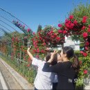산포면사무소 이미지