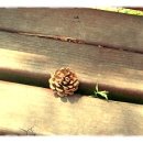 고려여인숙 이미지