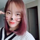 이상헤어 이미지